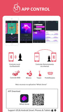 Plug Anal Equinox - Magic Motion - 7 modos de vibração Controlado também por APP