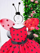 Vestido Tematicos Luxinho Joaninha