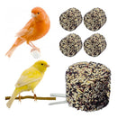 Bloco Sementes Para Canário 5 Unidades Bio Mix