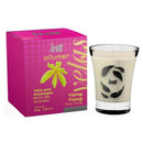 Vela para Massagem Beijável Ylang Ylang - allumer 40g INTT