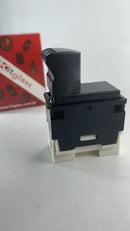 BOTÃO PALIO FIRE SIMPLES SEM MOLDURA  FUNDO BRANCO