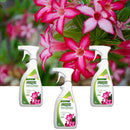 Adubo Fertilizante Forth Rosa Do Deserto Pronto Uso 500ml