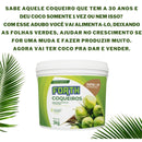 Adubo Para Coqueiros 3kg Forth Jardim Fertilizante Para Coco