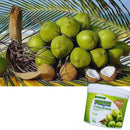 Adubo Para Coqueiros 3kg Forth Jardim Fertilizante Para Coco