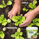 Adubo Para Hortaliças 3kg Forth Jardim Para Horta E Temperos