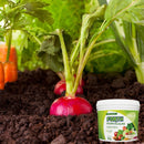Adubo Para Hortaliças 3kg Forth Jardim Para Horta E Temperos