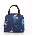 Bolsa Térmica Feminina Trabalho Academia Viagem Fitness
