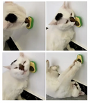 Brinquedo Interativo De Gato Bola Catnip Abacate Com Adesivo