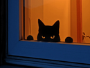 Decoração De Gato Bravo Nervoso Para Janela Parede Banheiro