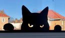 Decoração De Gato Bravo Nervoso Para Janela Parede Banheiro