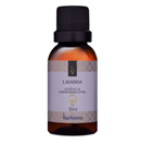 Essência Hidrossolúvel 30ml Via Aroma Umidificador C/ Filtro