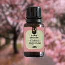 Essência p aromatizador Umidificador Difusor elétrico 10ml Nattuaromas