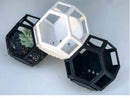 kit 3 vasinhos suculenta geométrico muito legal