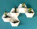 kit 3 vasos suculenta estilo modular
