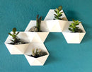 kit 3 vasos suculenta estilo modular