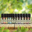 Kit Forte  12 Essências Aromatizantes P/ Difusor Nattuaromas