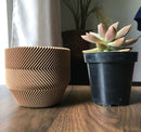 kit vasos suculenta estilo lazy