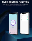 Medidor Consumo Inteligente Wifi 60A Alexa Google 110V 220V
