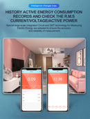 Medidor Consumo Inteligente Wifi 60A Alexa Google 110V 220V