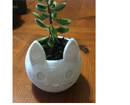 Vaso para suculenta flores formato gato lindo