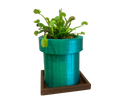 Vaso Suculentas - Tubo Modelo Mario brother retro