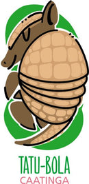 Borracha - Biomas - Mercur