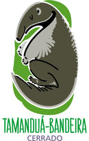 Borracha - Biomas - Mercur