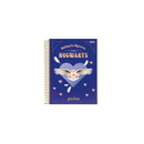 Caderno - 1/4 - Harry Potter - 96 Fls - Jandaia.