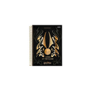 Caderno - 1/4 - Harry Potter - 96 Fls - Jandaia.