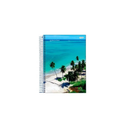 Caderno Flexível - 1/4 - 48 Fls - Jandaia