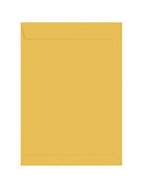 Envelope 260x360 - Foroni