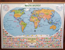 Mapa Mundi em Braille - Laminado com Moldura em MDF - B.i.a Editora