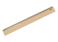 Régua New Line - 30cm - Maxcril