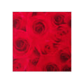 Saco de Presente - 20x29 - Rosas - Cromus