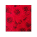 Saco de Presente - 20x29 - Rosas - Cromus