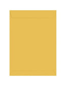 Envelope 229x324 - Foroni