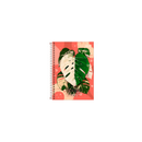Caderno - 1/4 - Naturalis - 80 Fls - Tilibra.