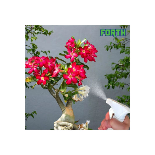 Adubo para Rosa do Deserto – Aplicação Foliar e no Solo