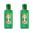 Essência Bambu Concentrada Mogilandi 140ml - Kit 2 unidades