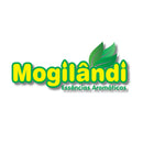 Odorizantes para Tecidos Mogilândi Lavanda Inglesa 250ml - Kit 2 Unidades