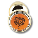 Plug Metálico P Signos Leão Dourado