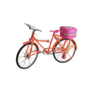 Boneca Ciclista