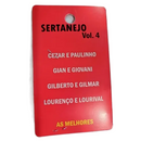 Pen Drive Gravado Sortidos