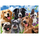 Puzzle 500 Peças Selfie Pets 3742