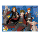 Quebra Cabeça 60 Peças Harry Potter