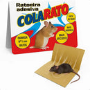 Ratoeira Adesiva Cola Rato