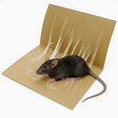Ratoeira Adesiva Cola Rato