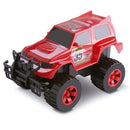 Slim Motors Rally 6075