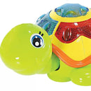 Tartaruga Bota Ovos Com Som E Luz