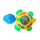 Tortoise Som E Luz